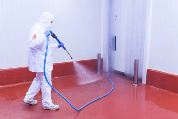 Best Spring Cleaning  in Lipatria, CA